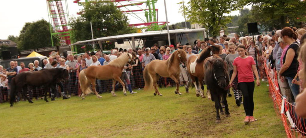 Willkommen zur Tierschau